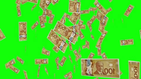 100 CANADIAN DOLLAR notes falling Green screen 스톡 동영상 258452502