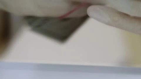 100 Dollar Banknotes Stacked in a Bundle. Clerk Counting Dollars Cash Money Stock Footage 141958827