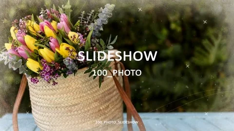 100 photos slideshow after effects template download