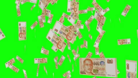 100 SINGAPORE DOLLAR notes falling Green screen 스톡 동영상 258461614