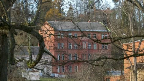 100-Year-Old Red Brick Building Seen Through Tree Branches in Late Autumn Video stock 297492517