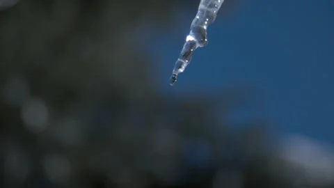 1000 frames per second dripping icicle melting spring Stock Footage 147937293