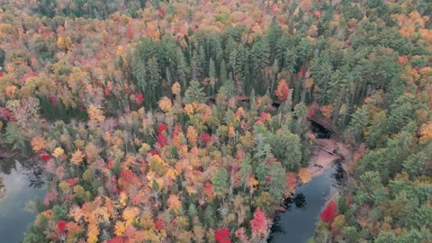 1000 Islands 스톡 동영상 252468401