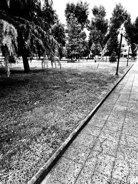 1000041005 Foto stock