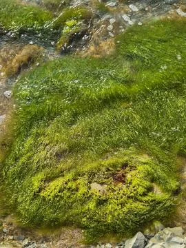 1000045743 Stock Photos