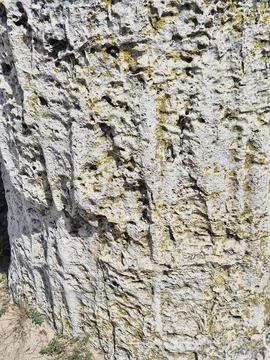 1000064838 Stock Photos