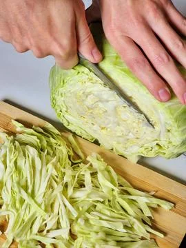 1000069229 Stock Photos