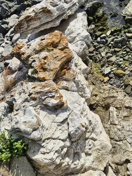 1000069327 Stock Photos