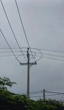 1000111684 Stock Photos