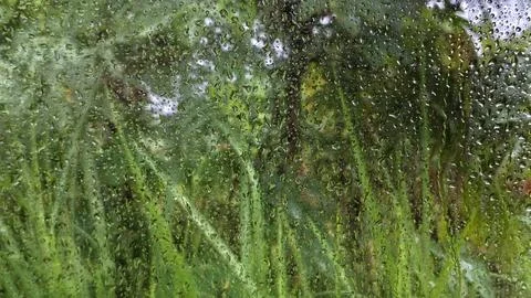 1000117363 Stock Photos