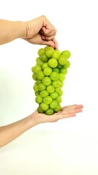 1000251325 Stock Photos