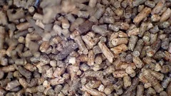 wooden pellets.processing of wood.