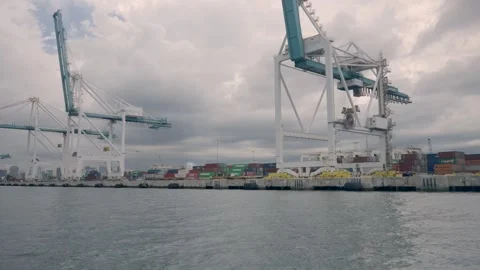 10/07/2023 Cargo ship container cranes in Miami Florida port Stock Footage 259772497