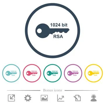 1024 bit rsa encryption flat color icons in round outlines Stock Illustration