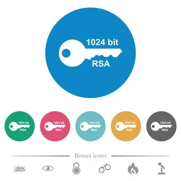1024 bit rsa encryption flat round icons Stock Illustration