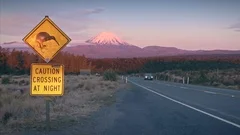 Aerial: Kiwi sign on desert road. Mount Ngauruhoe at sunset, New Zealand