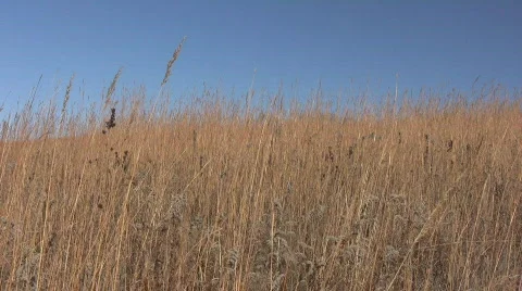 1029200920 Stock Footage 628349