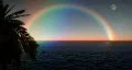1033 Blue Moon Ocean with Palm Tree and Rainbow HD Footage