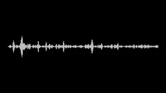 White and black audio waveform