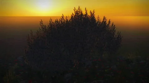 1037 Green Fields Sunset Stock-Footage 289182