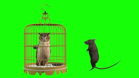 1042 HD ANIMAL 3D animated RAT and OWL look at each other Stock Footage