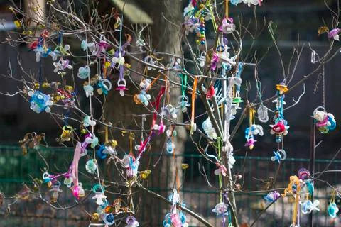 Colorful plastic pacifiers hanging in a tree, when children stop using