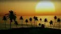 (1054) Tropical Island Sunset Palm Trees Ocean Waves Animation HD Footage
