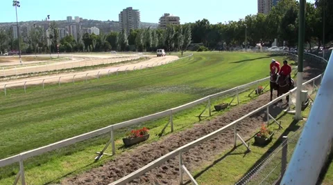 1058 Horse Racing Stock Footage 33829259