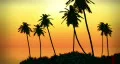 1064 Fiery Island Sunset - HD HD Footage