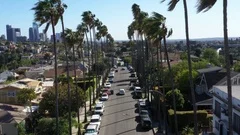 Drone flys over iconic Los Angeles palm tree lined street with the city