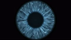 The blue eye is an extreme close-up of the iris and pupil