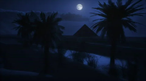 1073 Midnight Moon at the Oasis HD Stock Footage