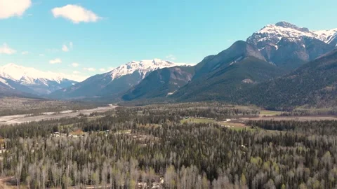 1080 Aerial Drone Footage of Beautiful Forest Landscape with Mountains in Golden Stock Footage