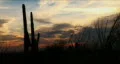 (1080) Desert Cactus Saguaro Sunset Timelapse HD HD Footage