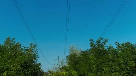 1080i motion the branches on the background of high-voltage lines. Stock Footage 67628304