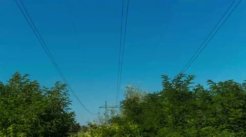 1080i motion the branches on the background of high-voltage lines. Stock Footage 67628306