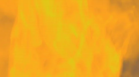 1080P Abstract Organic Backgrounds Vidéo 376006
