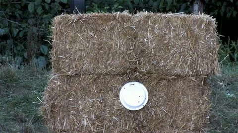 1080p Archery 2 스톡 동영상 12358810