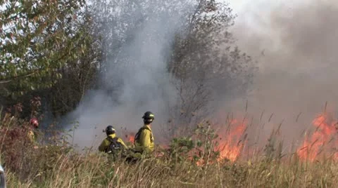 1080p Controlled Burn 15 Stock Footage 12381401