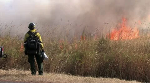 1080p Controlled Burn 19 Stock-Footage 12381717