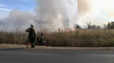 1080p Controlled Burn 24 Stock Footage 12381870