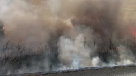 1080p Controlled Burn 29 Video stock 12387683