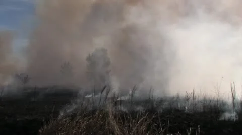 1080p Controlled Burn 34 Stock-Footage 12387883