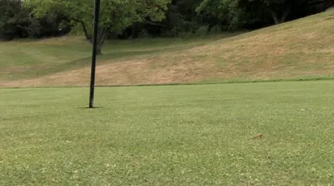 1080p Golfing 48 Stock Footage 11339969