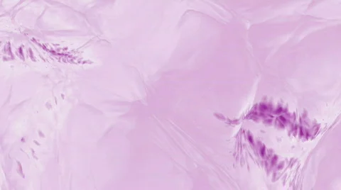1080P HD Fluid Backgrounds Stock Footage 264361