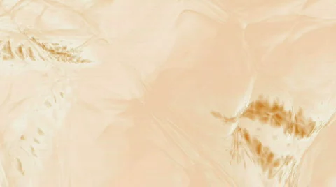 1080P HD Fluid Backgrounds Vidéo 264374