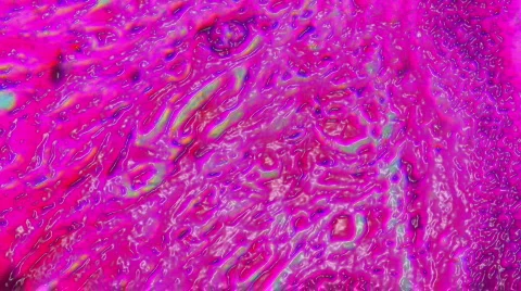 1080P HD Sci-Fi Microscopic Slides of Organs and Tissues Vidéo 129528