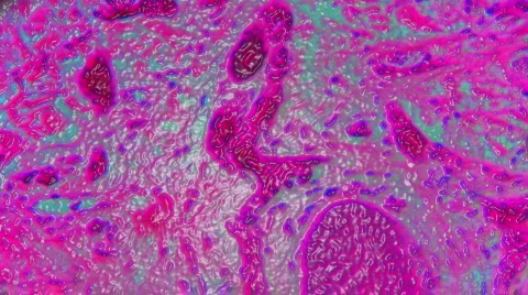 1080P HD Sci-Fi Microscopic Slides of Organs and Tissues Video stock 129674