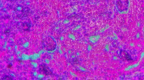 1080P HD Sci-Fi Microscopic Slides of Organs and Tissues Stock Footage 130203