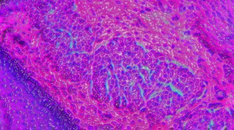 1080P HD Sci-Fi Microscopic Slides of Organs and Tissues 스톡 동영상 130228